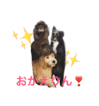 DOGs！！（個別スタンプ：15）