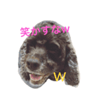 DOGs！！（個別スタンプ：16）