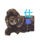 DOGs！！（個別スタンプ：17）