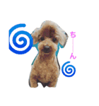 DOGs！！（個別スタンプ：23）