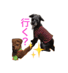 DOGs！！（個別スタンプ：27）