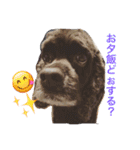 DOGs！！（個別スタンプ：29）
