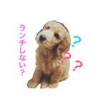 DOGs！！（個別スタンプ：31）