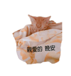 I am Ball Ball（個別スタンプ：3）