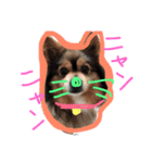 でへへへへ(パクちゃん)（個別スタンプ：8）