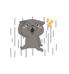 Black Pug Animated（個別スタンプ：19）