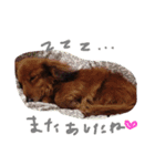 fun fam.（個別スタンプ：2）