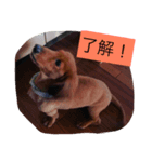fun fam.（個別スタンプ：5）