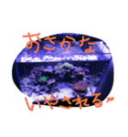 おいなリちゃんがよく使う！（個別スタンプ：5）