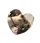 柴犬ららのすたんぷ（個別スタンプ：24）