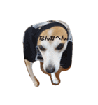 SHUUUUUUUUUUU2（個別スタンプ：2）