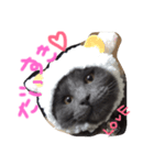ふてねこらんくん（個別スタンプ：5）