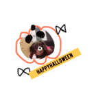 愛犬coco（個別スタンプ：8）