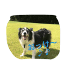 お気楽ボーダー（個別スタンプ：1）