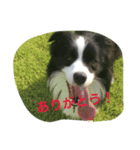 お気楽ボーダー（個別スタンプ：3）