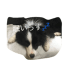 お気楽ボーダー（個別スタンプ：5）