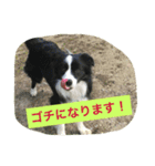 お気楽ボーダー（個別スタンプ：7）