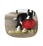 お気楽ボーダー（個別スタンプ：8）