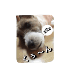 Puru and friends（個別スタンプ：5）