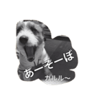 Puru and friends（個別スタンプ：6）