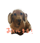 平凡な桃次郎のスタンプ（個別スタンプ：4）