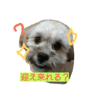 むぎくんスタンプ（個別スタンプ：2）