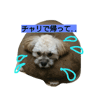 むぎくんスタンプ（個別スタンプ：3）