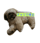 むぎくんスタンプ（個別スタンプ：5）