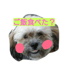 むぎくんスタンプ（個別スタンプ：8）