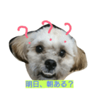 むぎくんスタンプ（個別スタンプ：10）