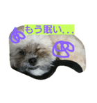 むぎくんスタンプ（個別スタンプ：15）