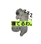 むぎくんスタンプ（個別スタンプ：16）