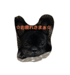 フレンチブルドッグ☆みかん☆（個別スタンプ：4）