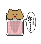 チョットやかましい毒舌な松田（個別スタンプ：20）