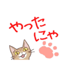 猫だからしょうがない（個別スタンプ：2）