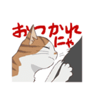 猫だからしょうがない（個別スタンプ：5）