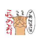 猫だからしょうがない（個別スタンプ：7）