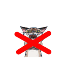 猫だからしょうがない（個別スタンプ：10）