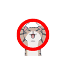 猫だからしょうがない（個別スタンプ：11）