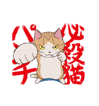 猫だからしょうがない（個別スタンプ：13）