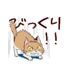 猫だからしょうがない（個別スタンプ：15）