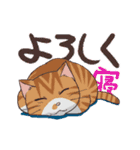 猫だからしょうがない（個別スタンプ：16）