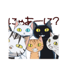 猫だからしょうがない（個別スタンプ：17）