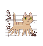 猫だからしょうがない（個別スタンプ：19）