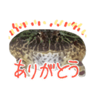 ベルツノさんスタンプ（個別スタンプ：2）
