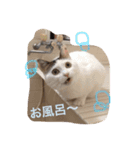 毎日使えるうりスタンプ（個別スタンプ：5）