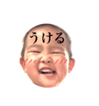 ゆっぴのスタンプ（個別スタンプ：6）
