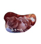ちろっぴさん（個別スタンプ：6）