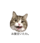 Maru Tora（個別スタンプ：7）