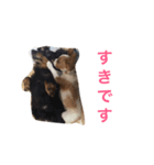 チョコたんぼ（個別スタンプ：6）